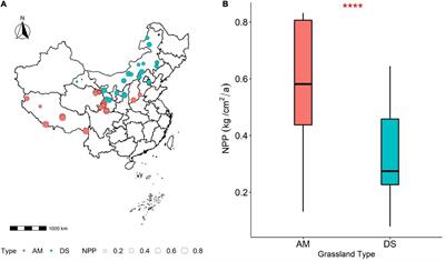 Precipitation and soil nutrients determine the spatial variability of grassland productivity at large scales in China